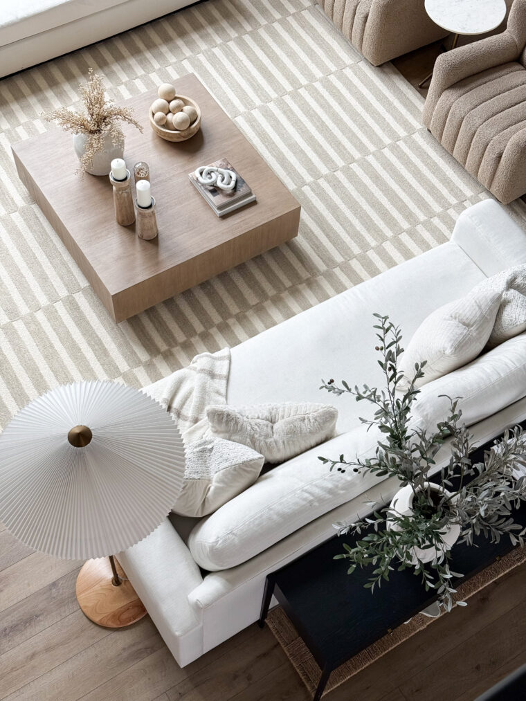 living room rug 09.02.25