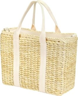 beach cooler bag