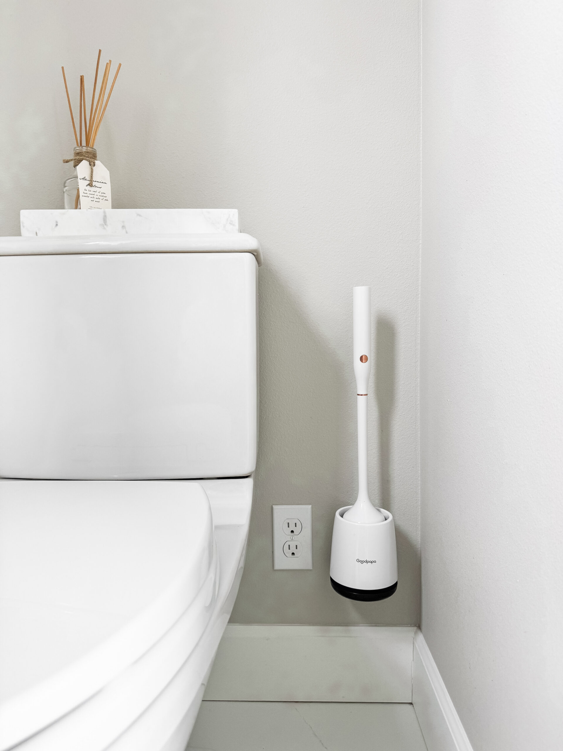 electric toilet brush