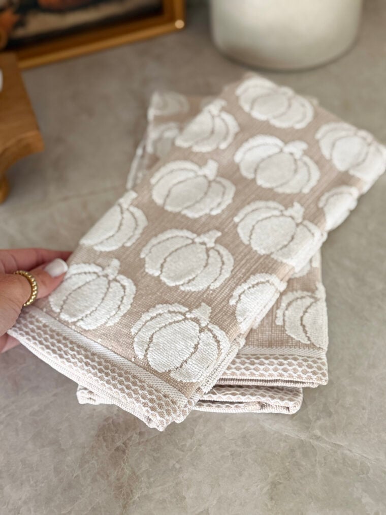 08.13.26 pumpkin dish towels