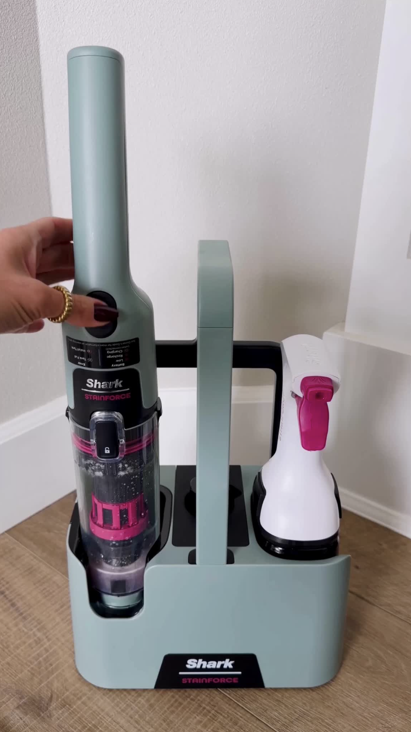 2-in-1 stain cleaner